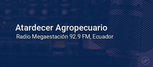 Atardecer Agropecuario