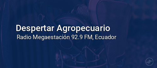 Despertar Agropecuario