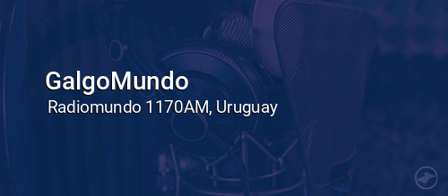 GalgoMundo