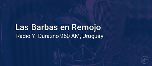 Las Barbas en Remojo