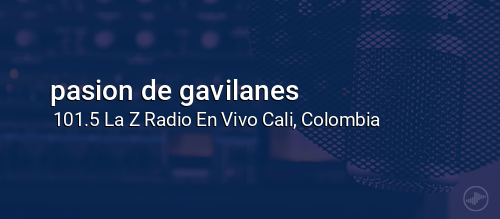 pasion de gavilanes