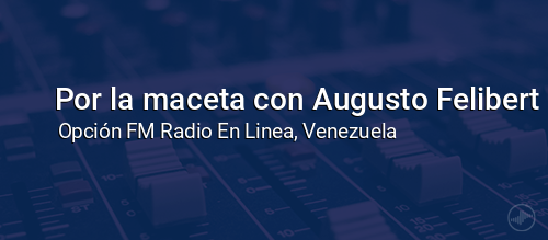 Por la maceta con Augusto Felibert